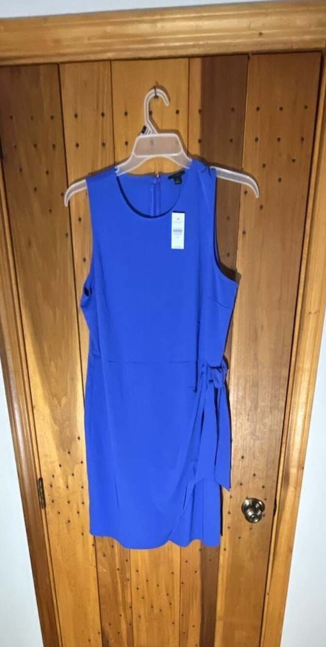 Ann Taylor Sleeveless Side Bow Sheath Dress